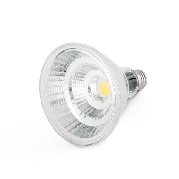 BULB PAR38 E27 LED 12W IP65 3000K 810Lm image 1