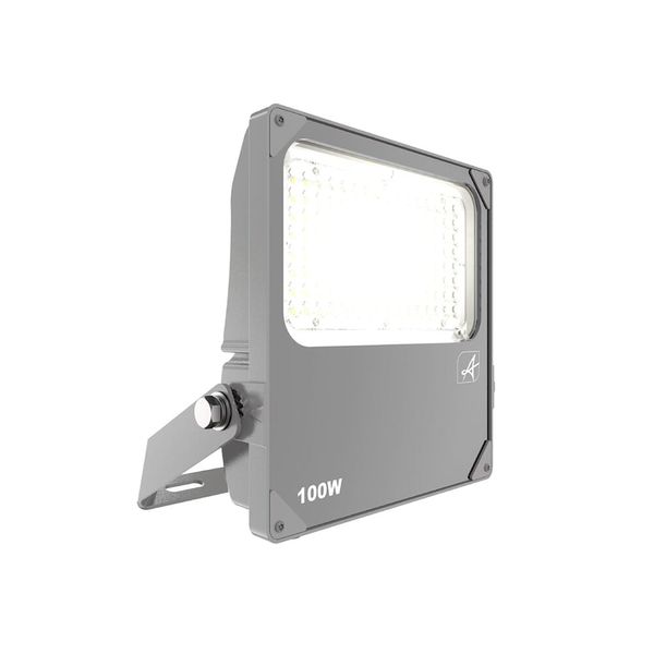 Aztec Coastal Asymmetrical Floodlight 100W image 1