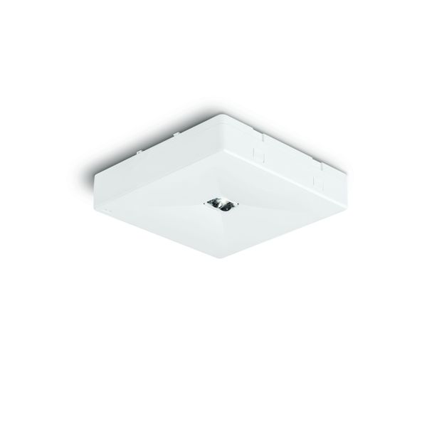 ONTEC R W1 60 NM ST W   Nouzové svítidlo LED - Individuální objednávka image 1