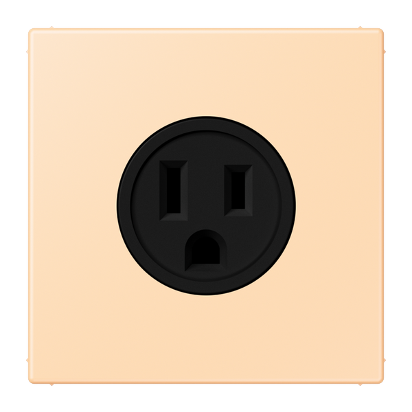 Socket US NEMA system LC32060 LC521-15223 image 1