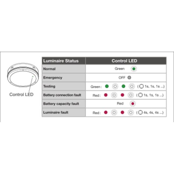 SURFACE BULKHEAD 300 SENSOR EMERGENCY 15W 830 BK IP65 image 17