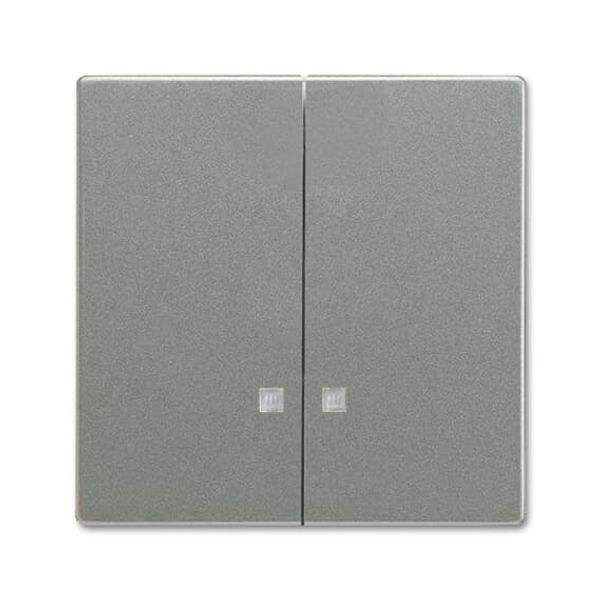 1785 K-803-500 Mechanical Controls None for Switch/push button, Two-part rocker grey metallic - 63x63 image 1