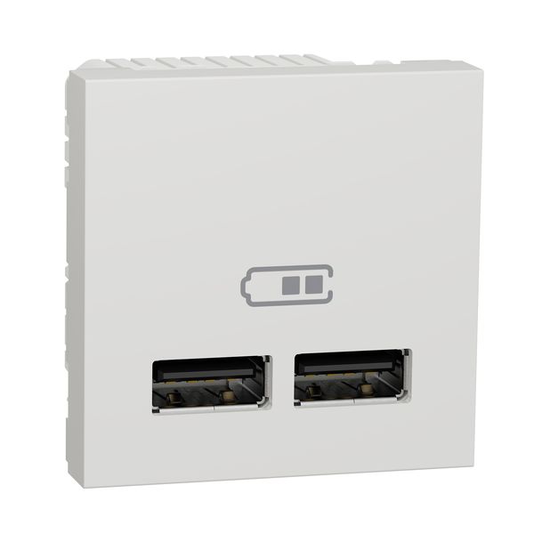 UNICA USB LADER 2X1A WIT RAL9010 image 1