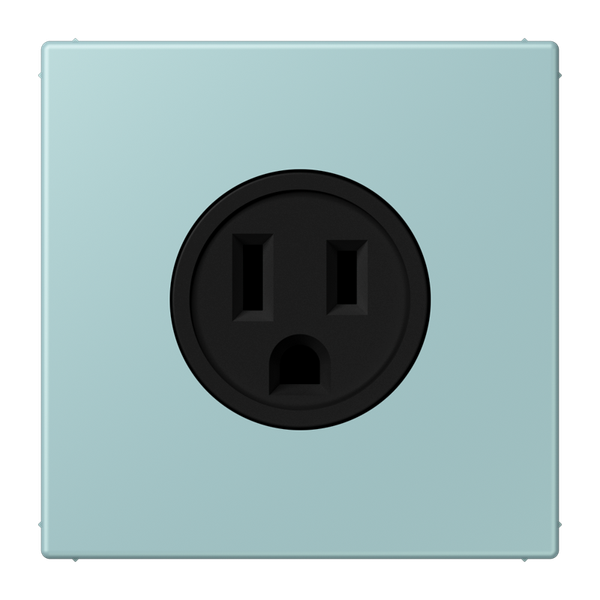 Socket US NEMA system LC32033 LC521-15214 image 1