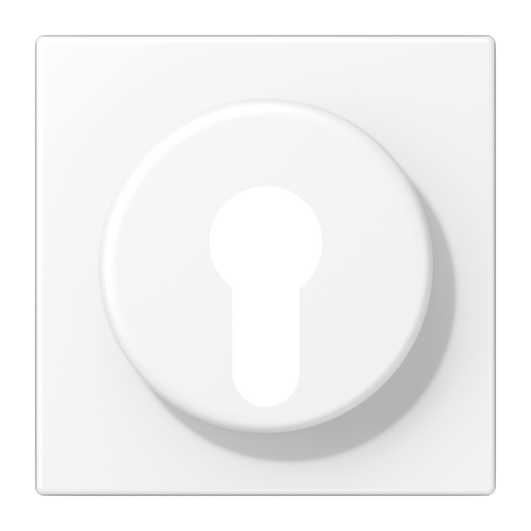 Centre plate f. key switch LS928WWM image 2