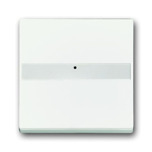 1764 NLI-884 CoverPlates (partly incl. Insert) future®, Busch-axcent®, carat® studio white matt image 2