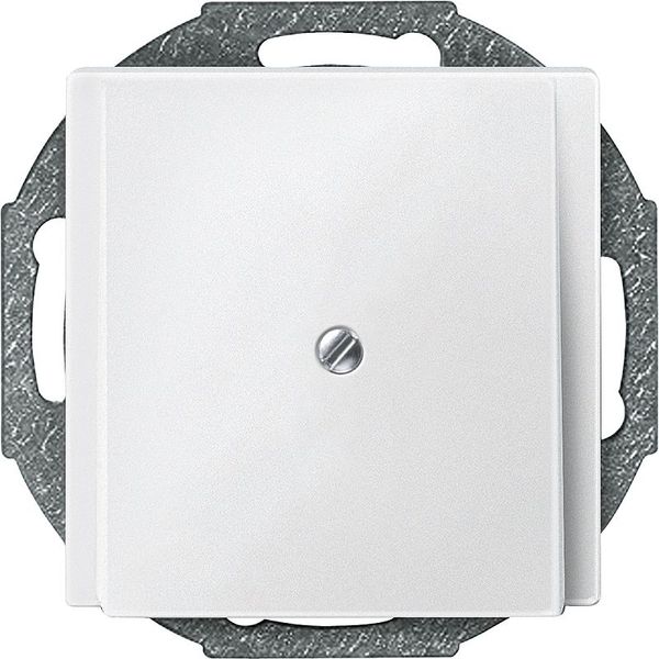 Central plate for cable outlet, polar white, system M image 1