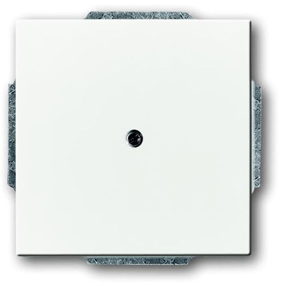 1749-84 Flush Mounted Inserts future®, Busch-axcent®, solo®; carat® Studio white image 1