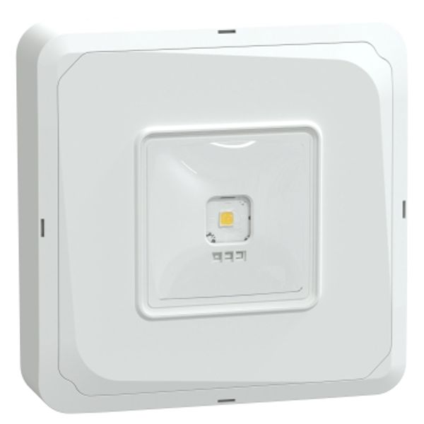 Exiway Smartbeam Activa - emergency luminaire - surface - escape - 3 h image 3