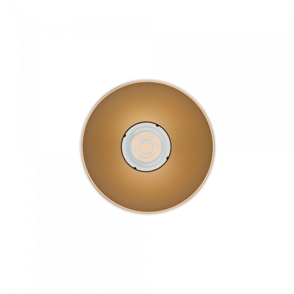 POINT TONE WHITE/GOLD image 1