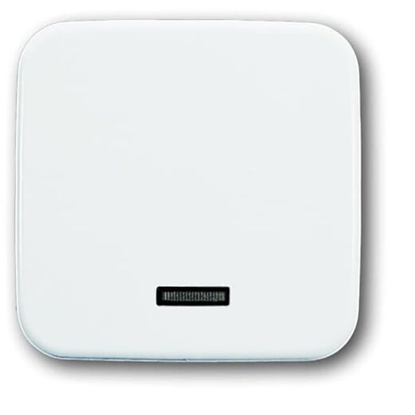 6543-214-102 CoverPlates (partly incl. Insert) carat® Alpine white image 1