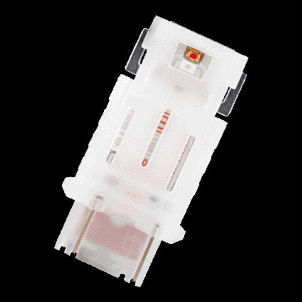 3157DRP-02B 1,7W 12V W2.5X16Q BLI2 OSRAM image 2