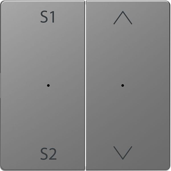 Rockers for button module 2-fold (Scene 1/2, Up/Down), stainless steel, system design image 1