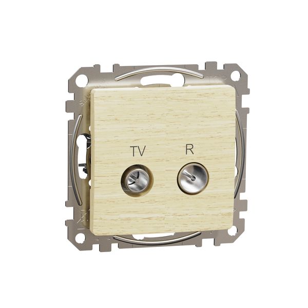 TV/R connector 4db, Sedna, Wood birch image 3