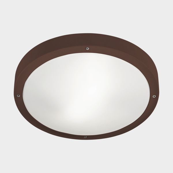 Ceiling fixture IP66 BASIC LED 21.4W 2700K Fir green 2606lm image 1