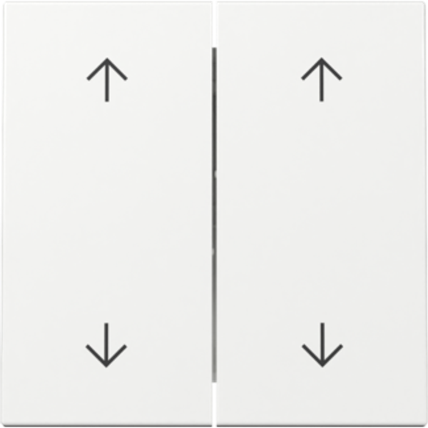 rocker 2-g arrows System 55 p.white image 1