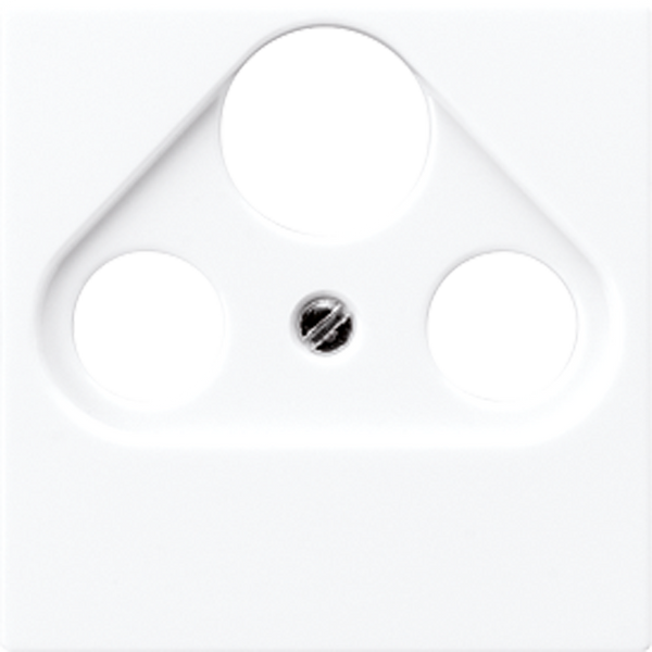 Centre plate for TV-FM-SAT socket A561BFPLSATWW image 7