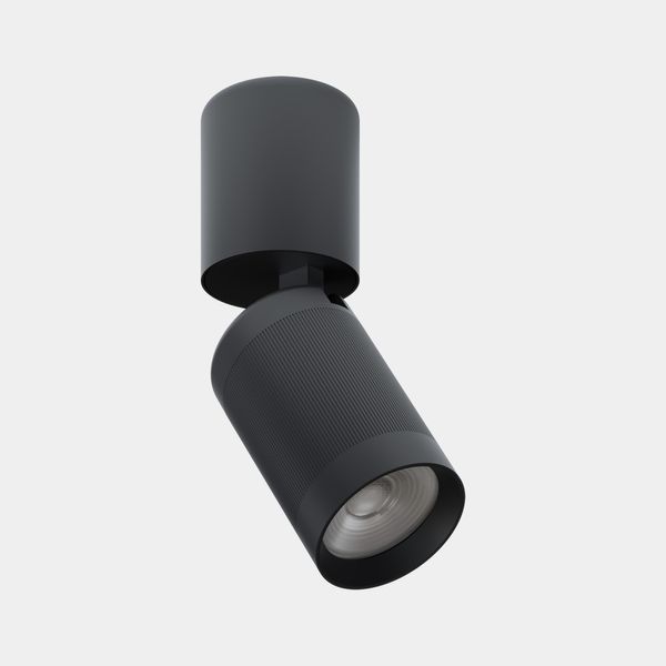 Ceiling fixture Iris Surface Pipe 15º 11.7W LED warm-white 2700K CRI 90 DALI-2 IP23 873lm image 1