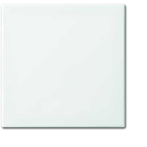 2506-914 CoverPlates (partly incl. Insert) Busch-balance® SI Alpine white image 1