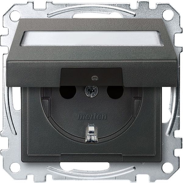 SCHUKO socket with hinged lid and label, touch protection, plug-in terminals, anthracite, System M image 1