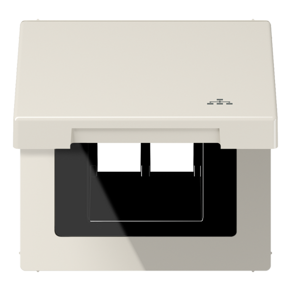 Hinged lid LAN with centre plate LS990BFKLLAN image 1