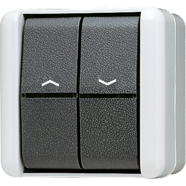 2-gang blind switch/push-button 10 AX 809VW image 1