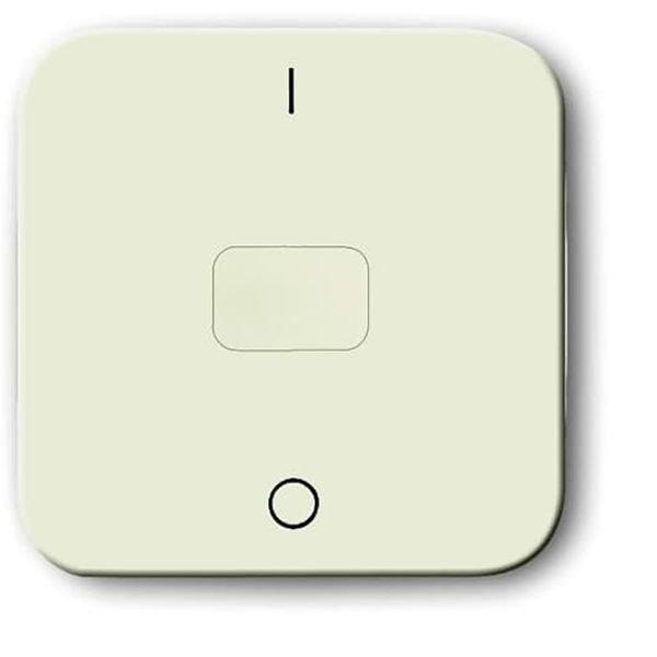 2544-212 CoverPlates (partly incl. Insert) carat® White image 1