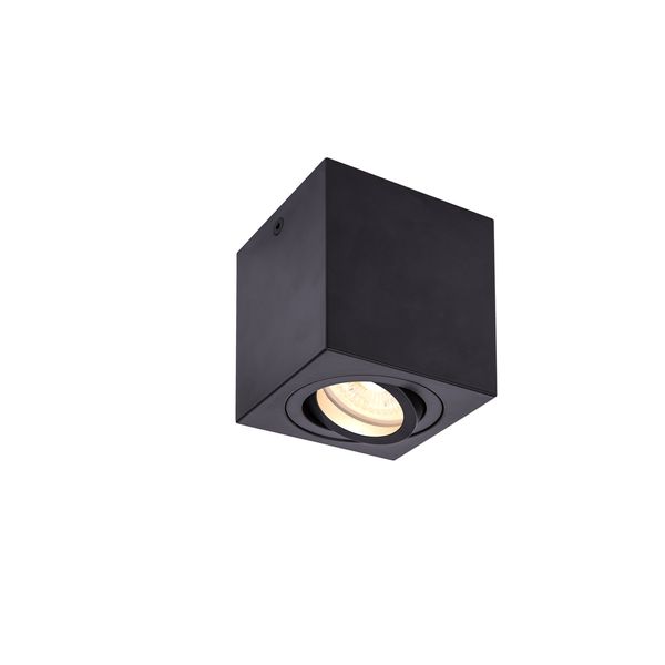 TRILEDO CL, indoor surface-mounted ceiling light, round, QPAR51, black, max 10W image 1