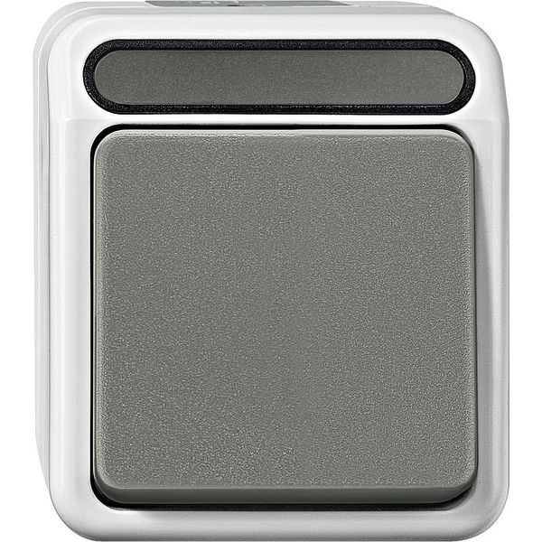 Button with N terminal, 1-pole changeover, light gray, AQUASTAR image 1