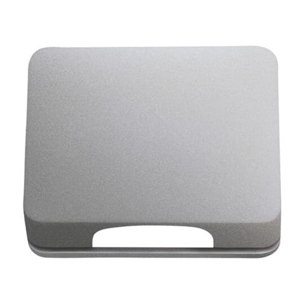 2561-266 CoverPlates (partly incl. Insert) carat® titanium image 2