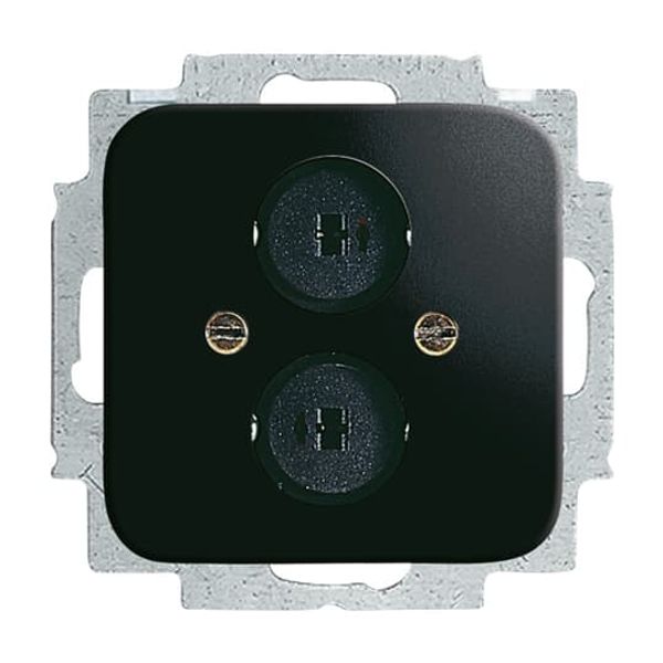 2147 U-215 CoverPlates (partly incl. Insert) carat® Black image 2