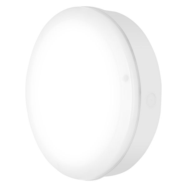 SURFACE BULKHEAD 250 ON/OFF 10W 830 WT IP65 image 6