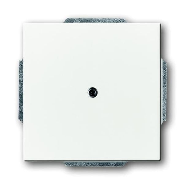 1749-84-500 CoverPlates (partly incl. Insert) future®, Busch-axcent®, solo®; carat® Studio white image 1