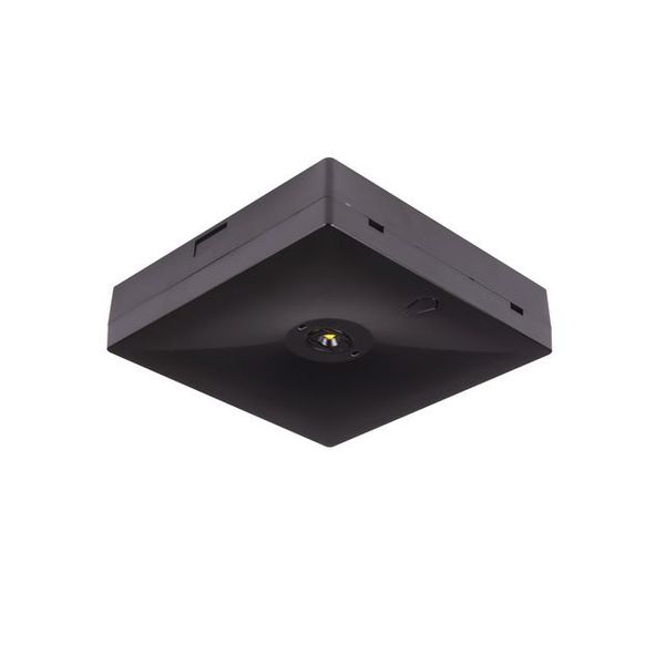 Starlet QUAD LED SC 250 CB [BLK] image 1