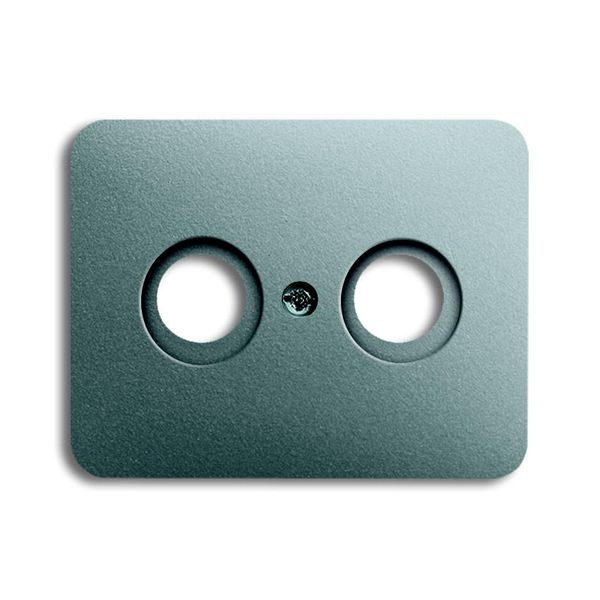 1743-266 CoverPlates (partly incl. Insert) carat® titanium image 1