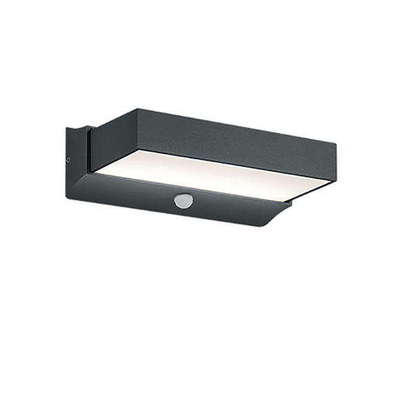 Cuando LED wall lamp motion sensor anthracite image 1