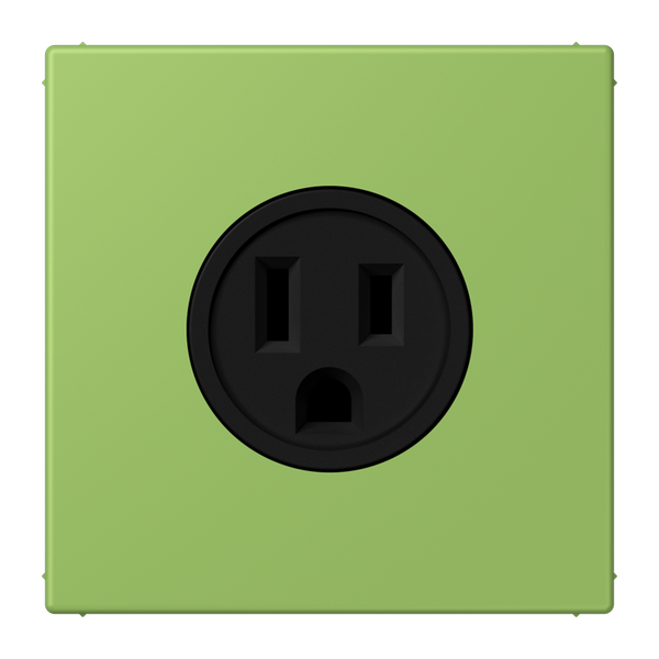 Socket US NEMA system LC32051 LC521-15220 image 1