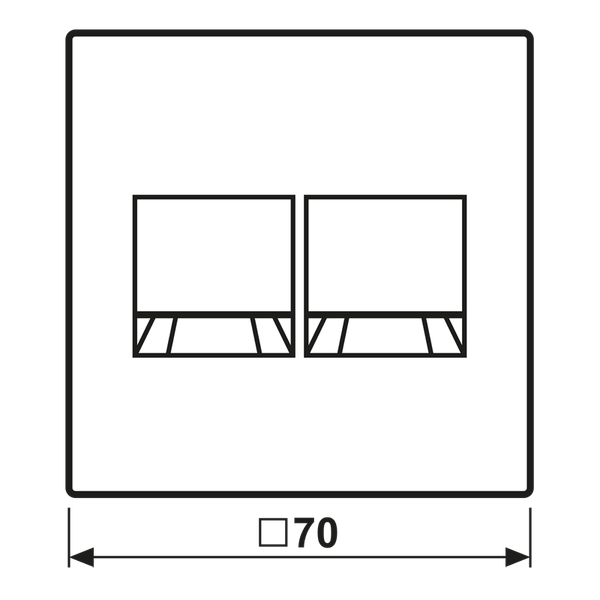 Centre plate for MJ f. 2 sockets AL1969-25WEAN image 2