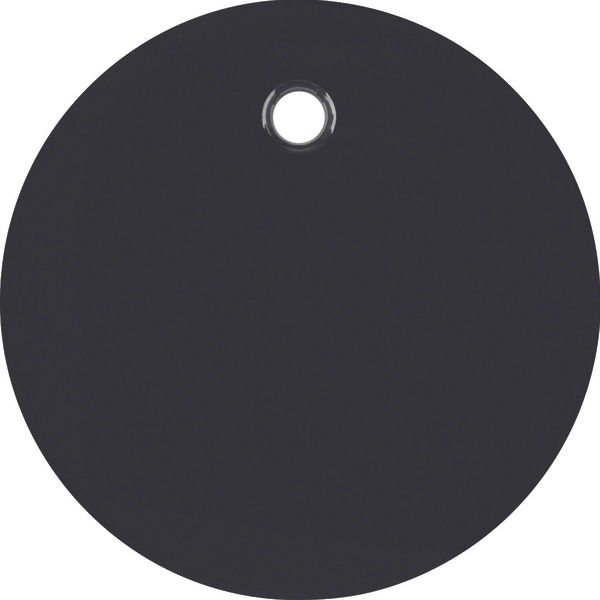 Centre plate for pullcord switch/pullcord push-button, R.1/R.3, black  image 1