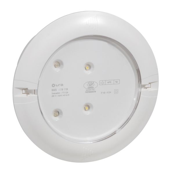 BAEH HABITATION A LEDS  KICKSPOT PLASTIQUE IP40 IK04 SATI CONNECTE image 1