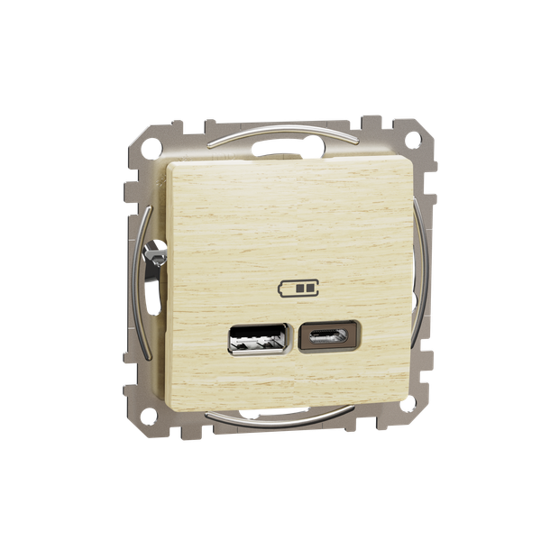 Sedna Design & Elements, USB charger A+C, 2,4A, wood birch image 5