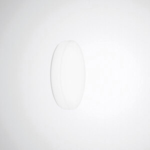 Wall and ceiling luminaire Olisq R Diffuser White around ET 15W 1900lm Lambertian (L) IP40 IK03 3 SDCM 8194740 image 1