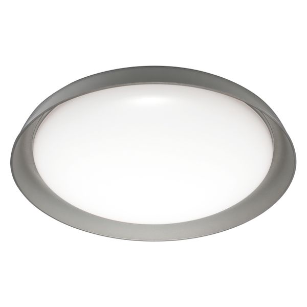 Plate Grey 430mm TW image 1