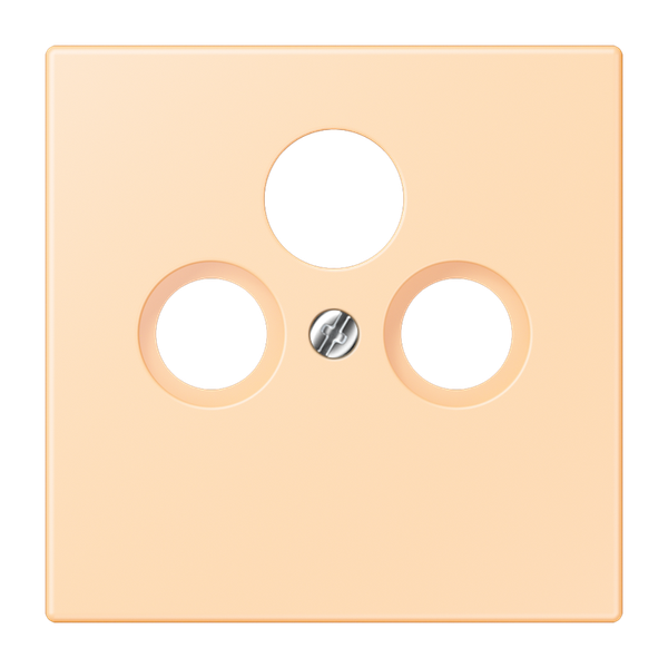 Centre plate for SAT-TV-FM LC32060 LC990SAT223 image 1