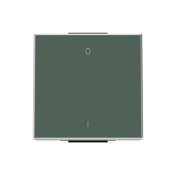 8501.2 CM Rocker with marking Characters 0 and 1 for Switch/push button, Single rocker Green - Sky Niessen image 1