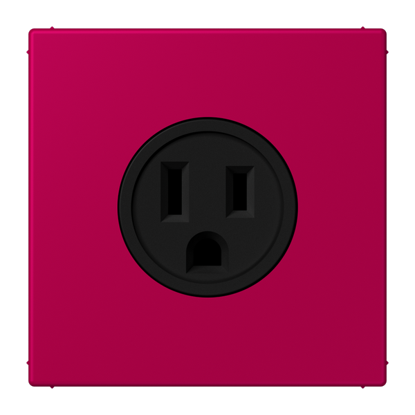 Socket US NEMA system LC32101 LC521-15230 image 1