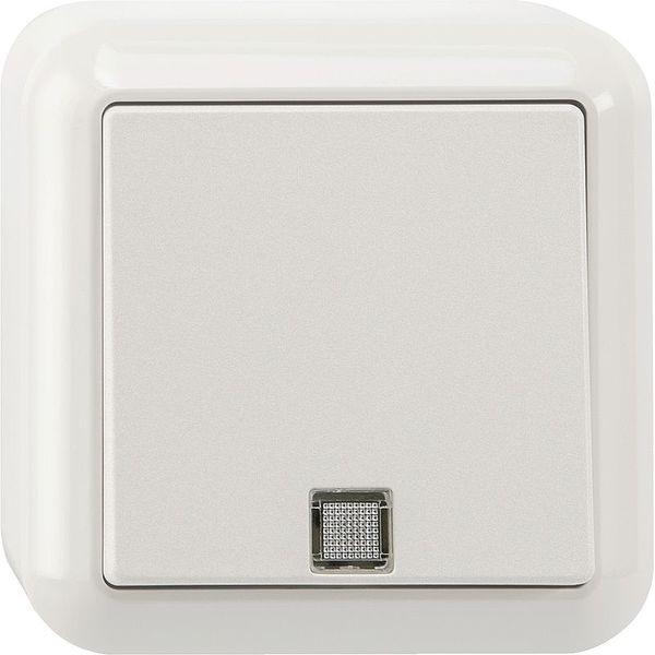 Off/toggle control switch, 1-pole, polar white, surface-mounted image 1