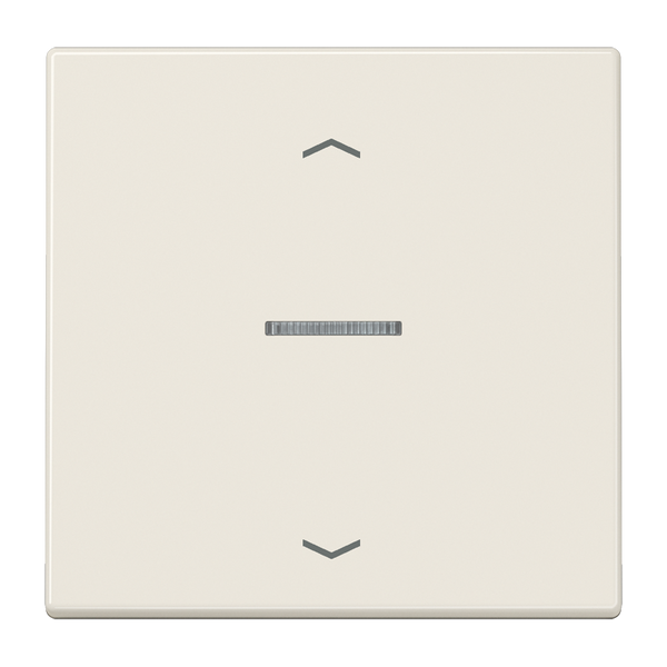 Centre plate for motor control inserts FMLS5232 image 5