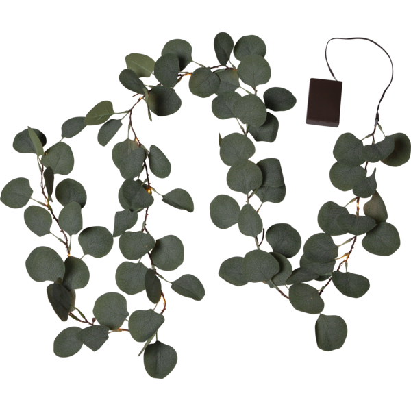 Garland Eucalyptus image 1