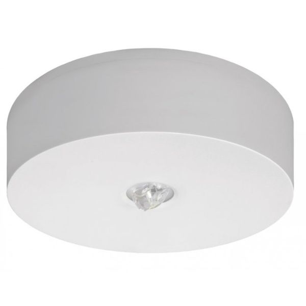 Starlet Round LED SO 250 CB image 1